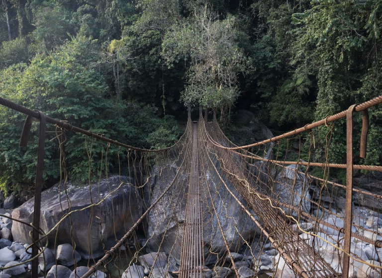 Živé mosty, Meghalaya - Cherrapunji, Meghalaya | Planeta lidí