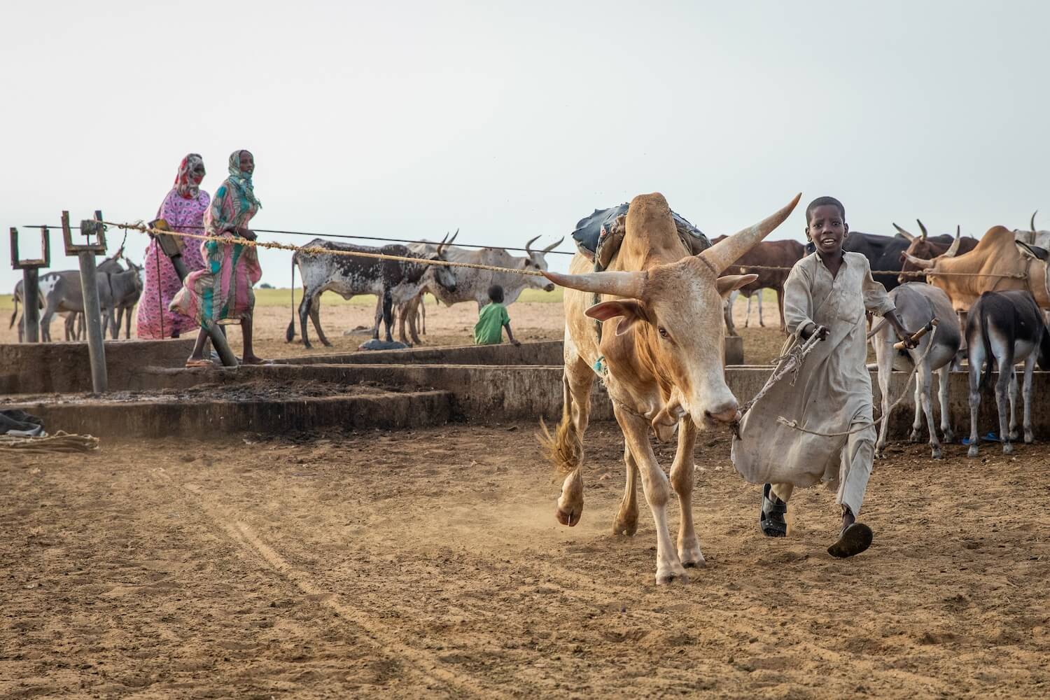 U studny - kmen Toubou, Čad | Planeta lidí