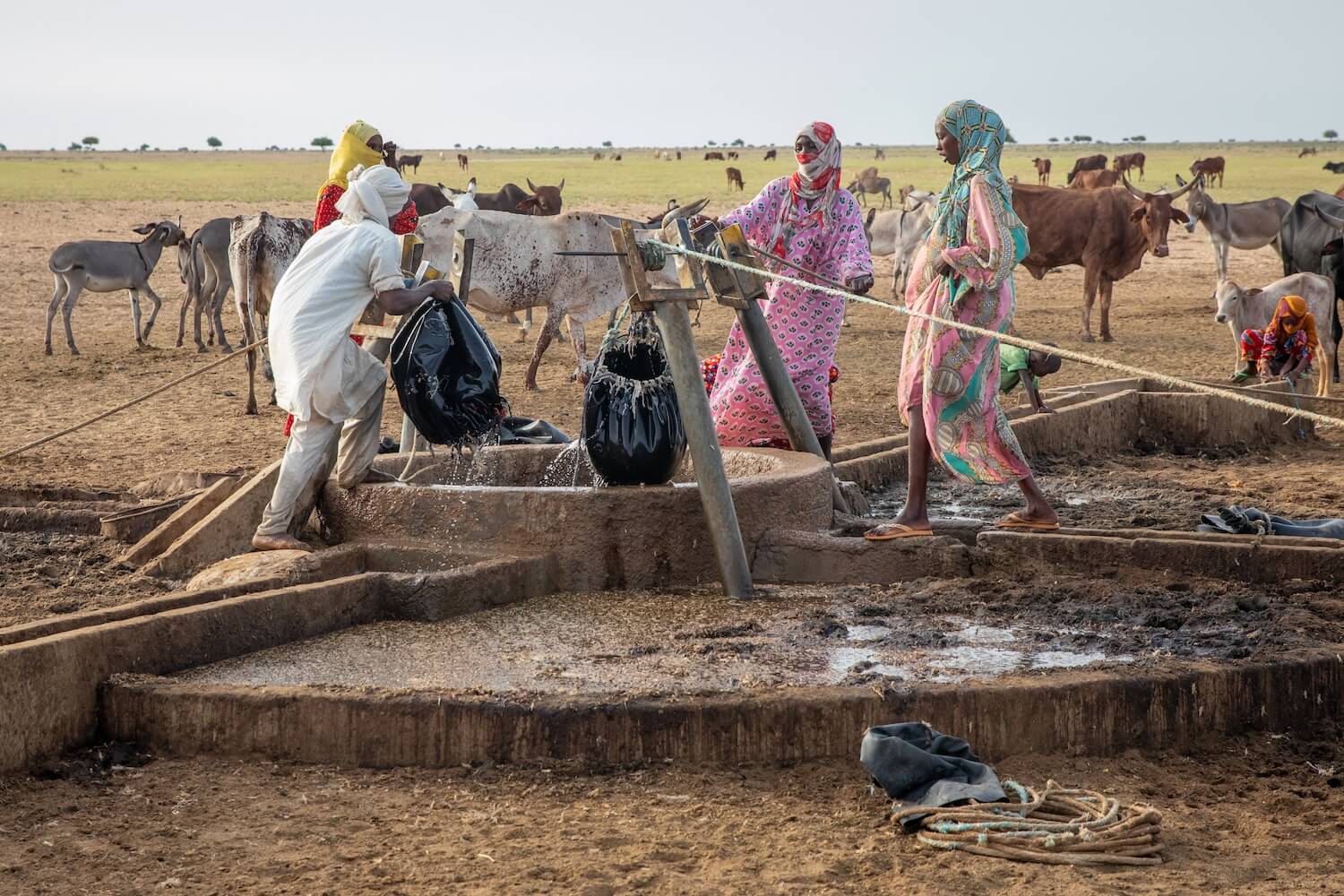 Kočovníci Toubou u studny - Čad | Planeta lidí