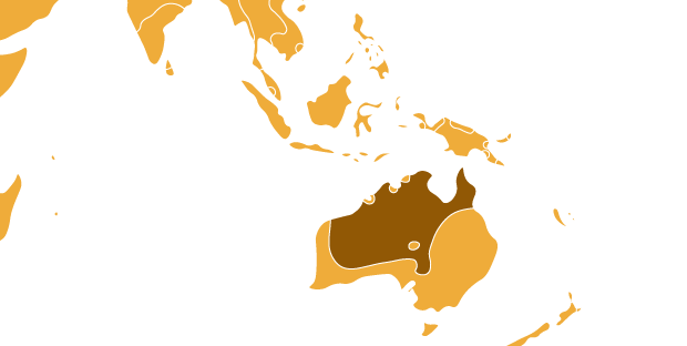 Australská
