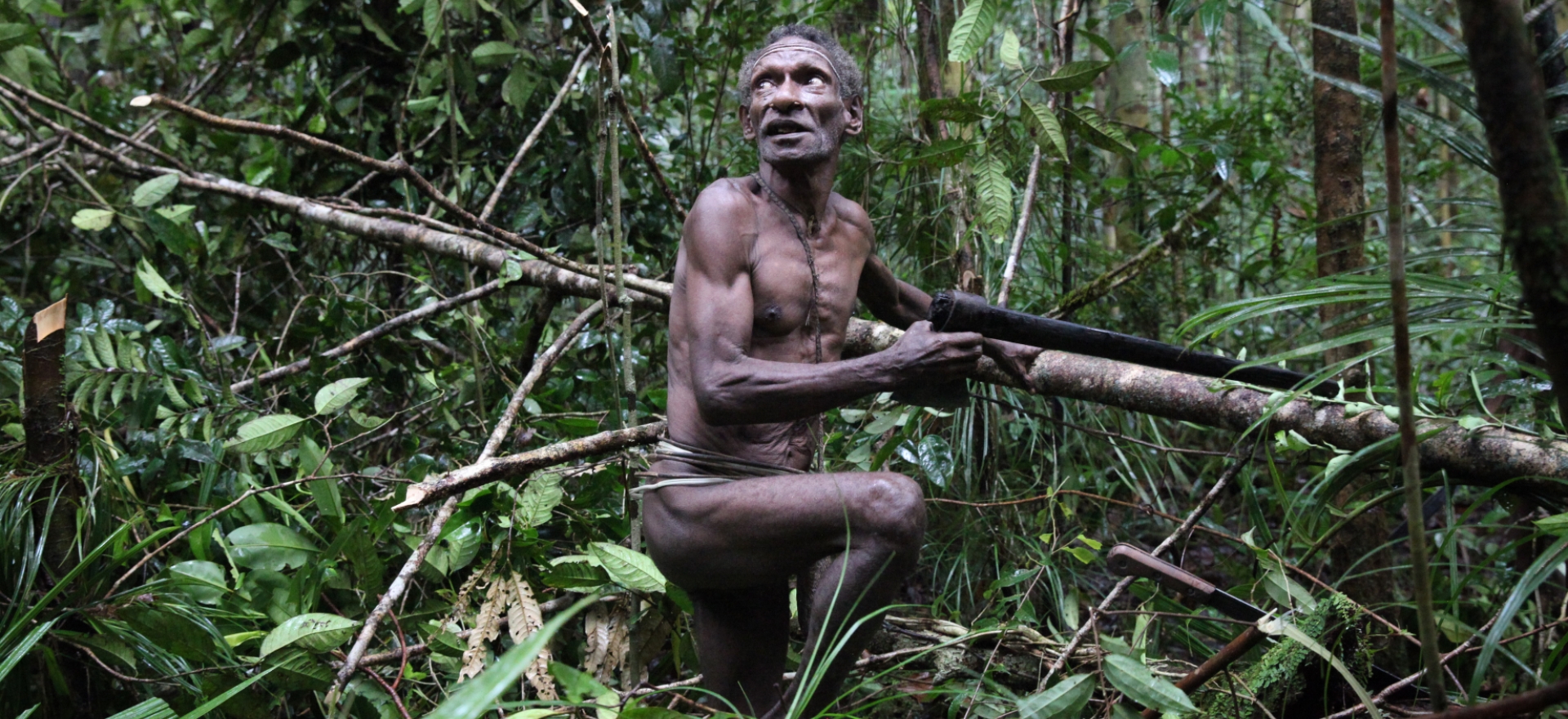 Korowajové, Západní Papua - Planeta lidí