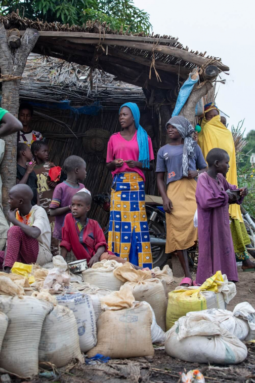 Kmen Kotoko, vesnice na břehu Čadského jezera - Planeta lidí