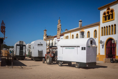 Pouť do El Rocia - Romería del Rocío 2024 | Planeta lidí