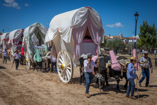 Pouť do El Rocia - Romería del Rocío 2024 | Planeta lidí