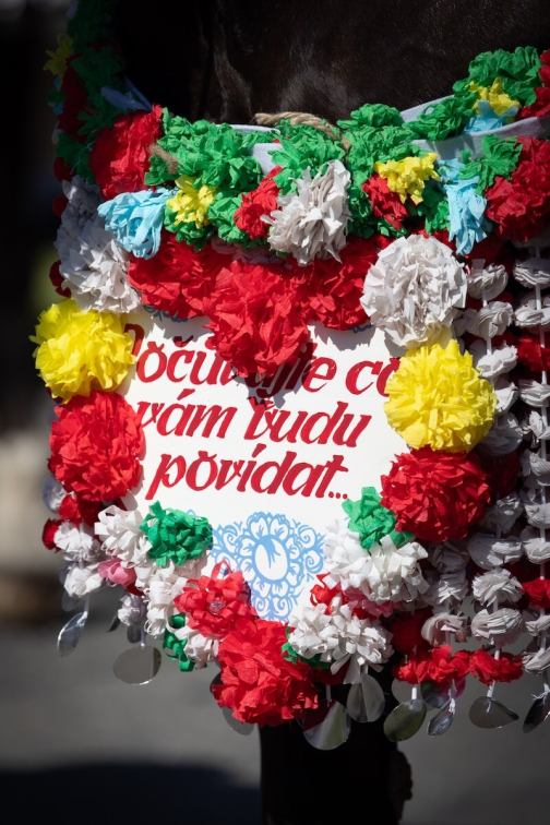 Jízda králů Kunovice 2026 - České tradice | Planeta lidí