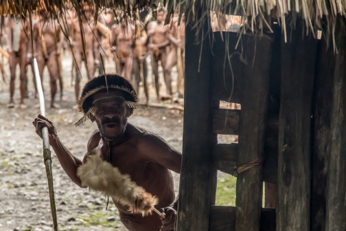 Kmen Dani, Západní Papua - David Čečelský, Planeta lidí