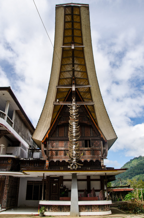 Torajové, Sulawesi - Indonésie - Planeta lidí