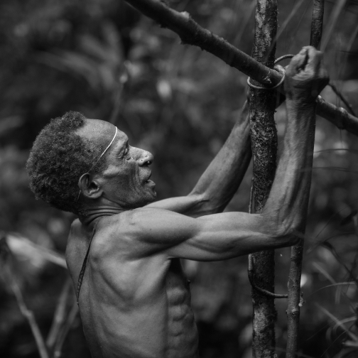 Korowai, Západní Papua - Milan Sekanina - Planeta lidí