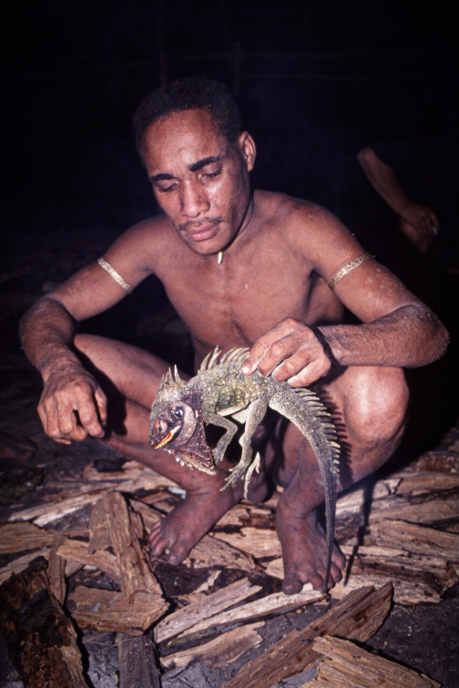 Kombai - Západní Papua - Irian Jaya, Indonésie - Planeta lidí | Jaromír Giecek