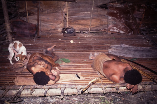 Kombai - Západní Papua - Irian Jaya, Indonésie - Planeta lidí | Jaromír Giecek