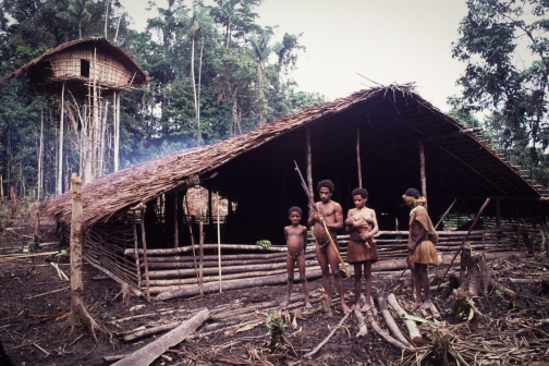 Kombai - Západní Papua - Irian Jaya, Indonésie - Planeta lidí | Jaromír Giecek