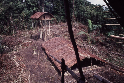 Kombai - Západní Papua - Irian Jaya, Indonésie - Planeta lidí | Jaromír Giecek