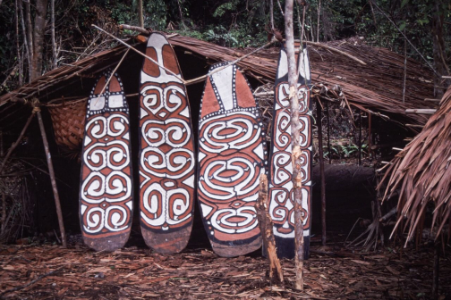 Kombai - Západní Papua - Irian Jaya, Indonésie - Planeta lidí | Jaromír Giecek