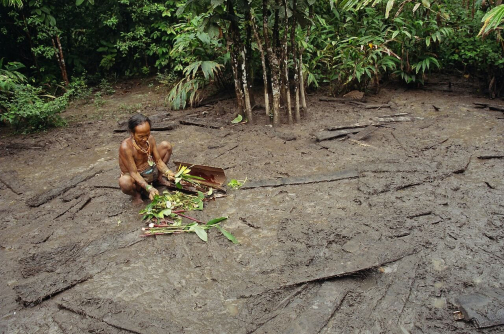 Mentawai, Siberut - Ostrov Šamanů - Miroslav Švejnoha | Planeta lidí