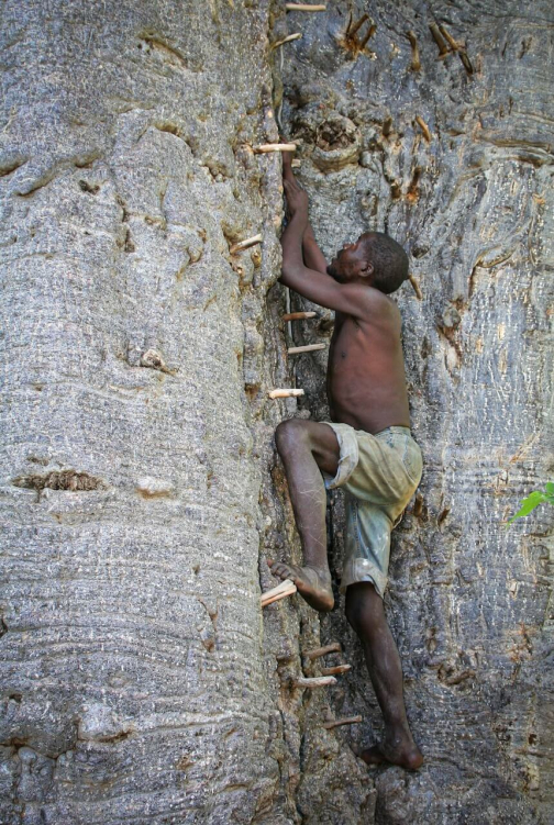 Kmen Hadzabe, jezero Eyasi - Tanzanie - Jaromír Giecek | Planeta lidí