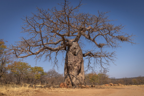 Hakaona - Muhacaona - Angola | Oblast Oncocua | Planeta lidí