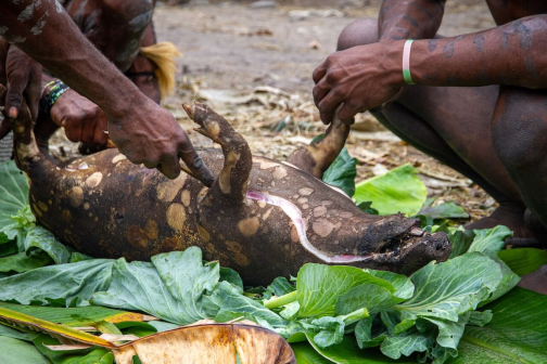 Vesnická zabíjačka, Daniové - Západní Papua - David Švejnoha | Planeta lidí