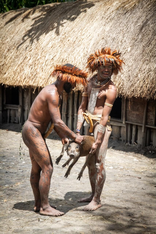 Vesnická zabíjačka, Daniové - Západní Papua - David Švejnoha | Planeta lidí