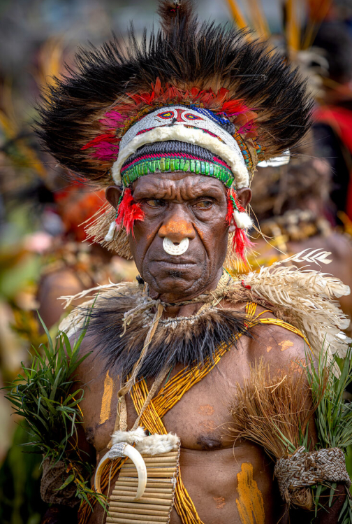 Festival Goroka show 2024 - David Švejnoha | Planeta lidí